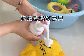 沉浸式洗狗玩具和狗窝，请戴上耳机享用吧～ #沉浸式