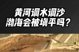 中国又一超级工程，向渤海输送32亿吨沙，渤海会被填平吗？#渤海视频封面
