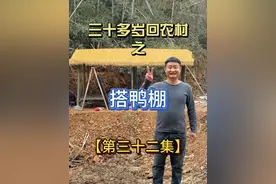 原来搭鸭棚子这么简单 用竹子搭出来的鸭棚子也很结实#农村自建房 #记录真实生活 #2025新农人计划 #农村生活 #鸭棚子视频封面