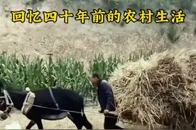 回忆四十年前的农村生活，重温那些逝去的岁月。#农村生活回忆 #四十年前的回忆 #607080后的回忆 #乡愁记忆 #回忆过去视频封面