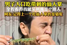男子大口吃带刺的仙人掌，全程看得我龇牙咧嘴是个狠人 网友:记得上一个吃仙人掌的是骆驼#男子大口吃带刺的仙人掌 #所有种类的仙人掌都可以吃吗 #仙人掌 #惊呆了老铁这是什么表演视频封面