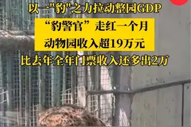 泼天富贵接住了！#豹警官走红一个月动物园门票收入比去年全年还要多 #神奇动物在抖音 #政媒原创作者联盟 #豹警官视频封面