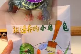 领养被遗弃的小乌龟，帮它去除龟甲上的彩绘。大家都养过小乌龟吗？#手工 #乌龟手工制作 #儿童玩具 #捏捏乐 #安静书