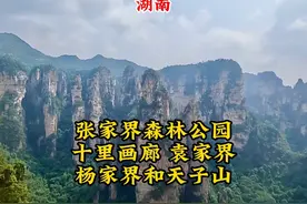 乘坐百龙天梯俯瞰张家界峰林地貌，张家界国家森林公园全攻略！视频封面