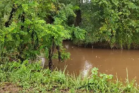 野钓，四川农村连续2天暴雨，顶着雨也要去钓鲶鱼这口太狂连杆了视频封面