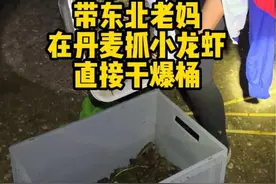 丹麦的小龙虾泛滥，我带东北老妈来消灭，给老妈玩嗨了#小龙虾#大自然的馈赠#东北妈妈在丹麦 #记录丹麦生活视频封面