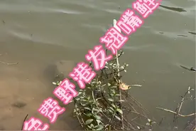 探钓一个免费钓翘嘴，20加胖头的好位置！ #原来钓鱼才是抖音运动顶流  #钓鱼 #户外 #2024dou来钓鱼 #钓鱼王地狱猫