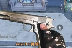 aqk1911合法合规科教模型，未成年人在成人监督下使用