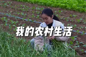 不占便宜是教养，人情往来是修养。占别人便宜，是世界上最赔本的买卖#我的乡村生活 #人间烟火视频封面