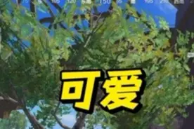 满级红装的独特魅力？简直太搞了#和平精英哪吒敖丙双神装