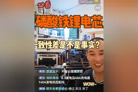磷酸铁锂一致性差这个不争的事实，居然被人偷换概念洗白了！ 说到底，就是为了忽悠消费者！如果不把自己包装成行业大佬，手里的那些梯次电池，根本就卖不了天价。去年说自己五年只做磷酸铁锂，今年都还没到头，就急吼吼宣称自己是七年铁锂的人物。#户外电源 #做生意诚信第一 #锂电池视频封面