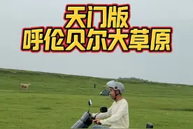 带你看天门版“呼伦贝尔大草原” #天门 #天门猫哥#天门熊猫哥#踏青