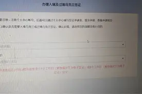 乌克兰电子签证官网（有中文语言选项）。#环球旅行视频封面