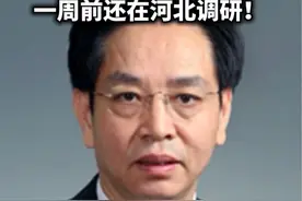 周末又打一虎！国家烟草专卖局副局长徐𬎆被查!一周前还在河北调研！#违纪违法视频封面