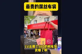 你会去买吗？#lv帆布袋 #LV #又蠢又穷又虚荣 #品牌定位 #商业思维视频封面