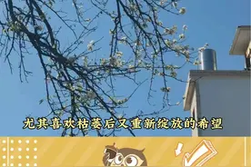 不同星座拍的照片是不是只有同象系才懂#星座 #照片 #属于你的星座氛围是什么 #娱乐超有料