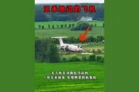 河南驻马店玉米地边的飞机，为何会出现在这里呢？#云游中国计划 #现场实拍视频封面