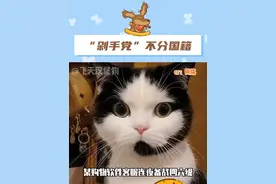 就算是洋人到中国了都得买买买。#外国人#购物#网购#搞笑视频封面