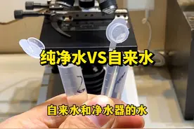 纯净水和自来水放大，净水器真的没白买呀 #显微镜下的世界视频封面