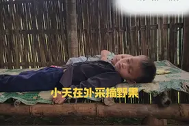 小天出外采摘野果，照顾弟弟