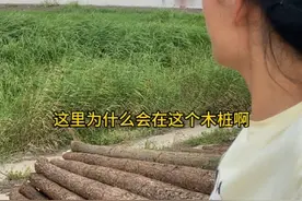 洪湖一个生我养我的地方！记录家乡洪湖的变化！ #湖北 #家乡 #我和我的家乡 #我为家乡代言 #乡村守护人视频封面