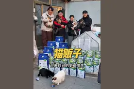 今天我看到一个猫贩子！#流浪猫 #猫贩子