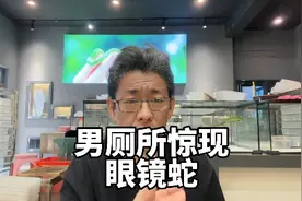 男厕所跑进一条剧毒眼镜蛇，如果是你遇到这样的情况该如何处理？视频封面
