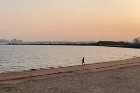 青岛前海夏天浒苔成灾的原因你们知道吗？游客不要再不明真相的讽刺了！