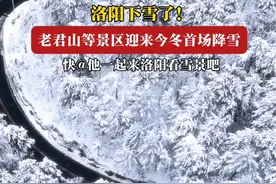洛阳下雪了！ 老君山、白云山等景区迎来今冬首场降雪，快@他一起来洛阳看雪景吧#老君山迎来今年第一场雪 #这个冬天我们一起去洛阳吧 #实拍老君山雪景 #这个冬天一定不能错过老君山