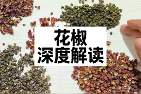 花椒 深度解读 教你一些你能用到的知识 #花椒#青椒#中药#中医视频封面