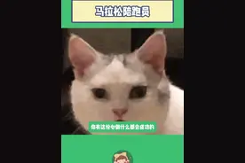 厦门马拉松赛道文案，你有这份心做什么都会成功的！一起跑过新年第一个周末吧！#抖音送你去跑马 #厦门马拉松 #拿下赛道#跑过新年第一个周末#在海边跑步有多幸福视频封面