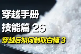 穿越必备实用技能之在古代如何低成本制取白糖 第三集#知识科普 #实验 #化学  #实用技能 #穿越必备视频封面