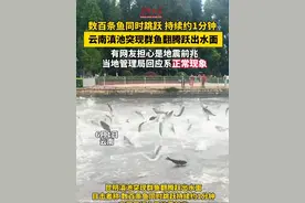 6月1日，云南#滇池突现群鱼翻腾跃出水面 。6月2日，当地回应属正常现象。