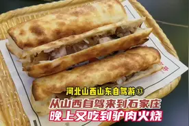 上海出发的河北山西自驾游，由浑源来到石家庄，晚上又吃驴肉火烧视频封面