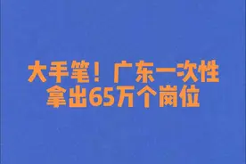 大手笔！广东一次性拿出65万个岗位招聘。2025 年3月16日视频封面