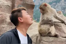 #猴友 #猴小匡 这人会猴语，大家相信吗视频封面