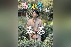 御树十八棵？今天咱们一起瞧瞧怎么个事！ #第一口春味在抖音 #召唤茶友 #用一杯西湖龙井打开春分