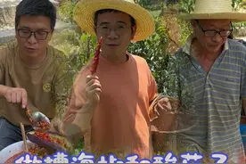 好久不下雨，菜都晒的蔫巴蔫巴的，今天干脆把茄子和辣椒摘了，做点酸茄子，做点糟海椒。#我的乡村生活 #记录真实生活 #农村美食 #酸茄子 #糟海椒视频封面