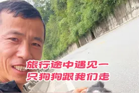 自驾旅行途中遇见一只流浪边牧跟我们走 这只狗狗很粘人，犹豫了很久不知道该不该带走，怕是别人丢的，如果真是流浪狗狗就可怜了，因为219国道上车速很快车很多又怕狗狗不安全！#带着宠物去旅行 #流浪狗 #流浪狗救助 #流浪狗狗的故事 #边牧视频封面