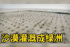 埃及想把沙漠变成绿洲，然后…#冷知识 #科普 #历史视频封面