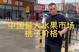 中国最大水果市场桃子价格 #新农人计划2024 #来抖音学农枝 #乡村生活家视频封面