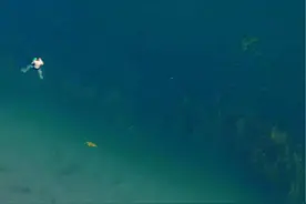 2018年禁泳后，6年来没下过一次水，今天看到你们这玩水的样子，我偷偷问一句是不是真放开可以游了？#抚仙湖 #抚仙湖断崖水位 #公开水域游泳视频封面