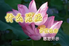 起心动念皆是因 当下所受皆是果 世人不知有因果 因果何曾饶恕谁视频封面