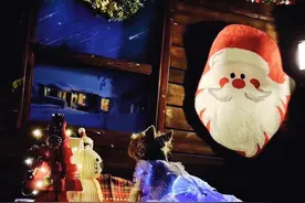 给小狗做了一条发光的裙子，当穿上裙子的那一刻，我真的羡慕了。#抖音精选 #万物可爱计划 #养狗养出了养孩子的味道