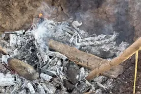 烤红薯又不带我#我的乡村生活 #蚊子守村人 #人类幼崽迷惑行为大赏