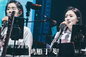 刀郎老师上海演唱会首唱新歌《鸿雁于飞》，震撼全场视频封面