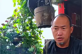 动物园的老虎被关在笼子里，生活过得真不错！#老虎 #神奇动物在抖音 #万万想不到 #动物世界看人生百态 #百兽之王老虎视频封面