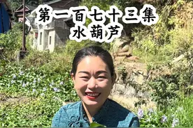 水葫芦 以前农村田间池塘里常见到的水葫芦现在已很难找到了，知道它neng做什么用吗？#植物科普 #水葫芦#凤眼蓝视频封面