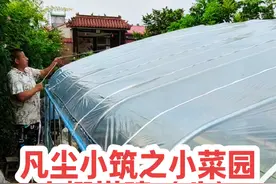 小菜园如何搭建大棚 今天继续完善小菜园大棚搭建，把压膜卡簧和压膜带装好加固防止刮大风把棚吹坏。左手把塑料布抻平，然后把钢丝卡簧卡入槽里，再把压膜带抻紧绑在两个拱架正中间即可。#我的乡村生活 #我的小菜园 #小菜园大棚搭建 #我家小院 #大棚搭建视频封面