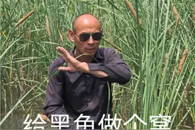 #钓鱼 #黑鱼 #黑鱼爆口  给黑鱼做个窝视频封面